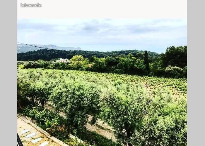 Studio Dans Les Vignes De Cassis